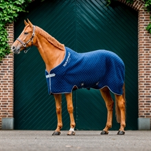 Horseware Autumn Cooler